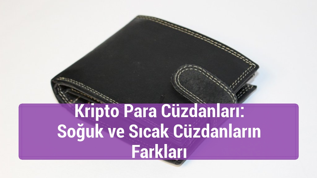 Kripto Para Cüzdanları: Soğuk ve Sıcak Cüzdanların Farkları