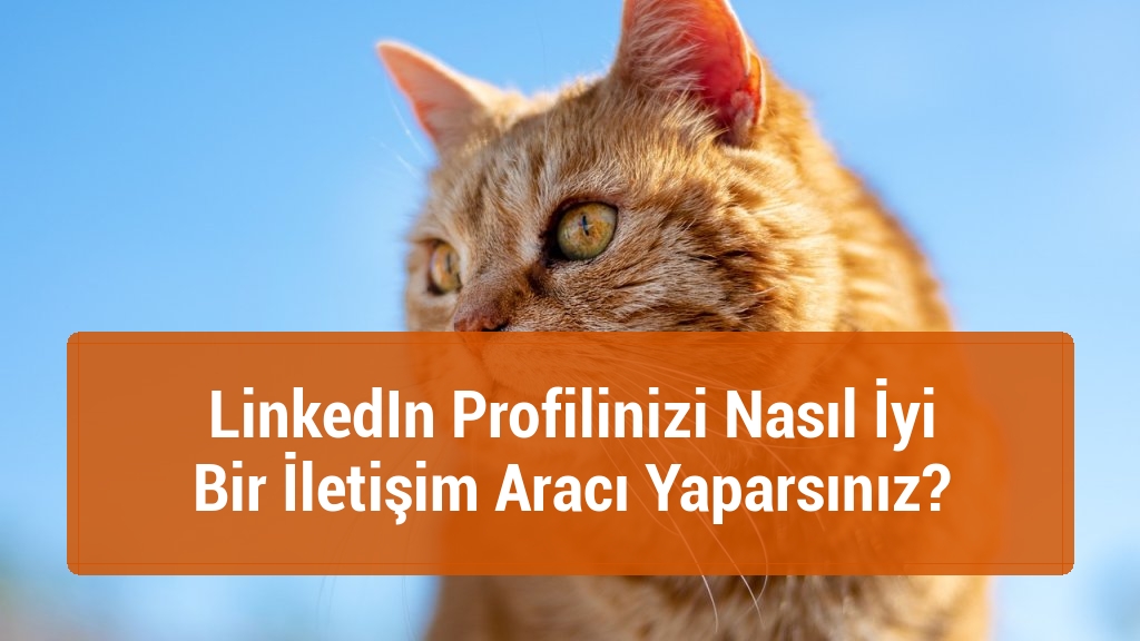 LinkedIn Profilinizi Nasıl İyi Bir İletişim Aracı Yaparsınız?