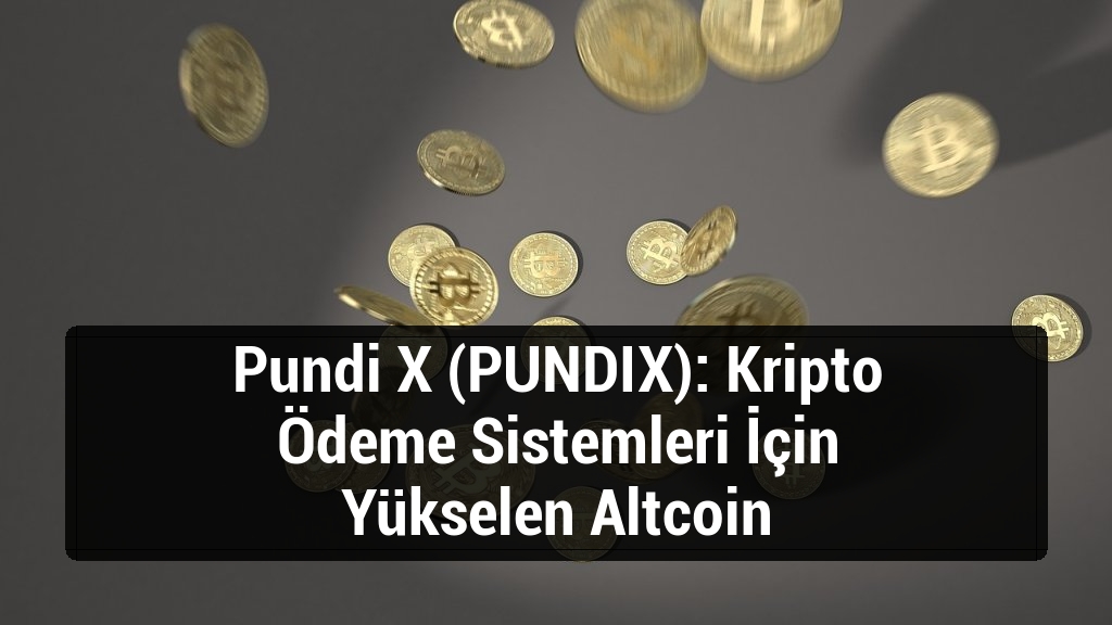Pundi X (PUNDIX): Kripto Ödeme Sistemleri İçin Yükselen Altcoin