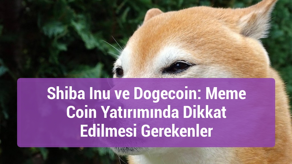 Shiba Inu ve Dogecoin: Meme Coin Yatırımında Dikkat Edilmesi Gerekenler