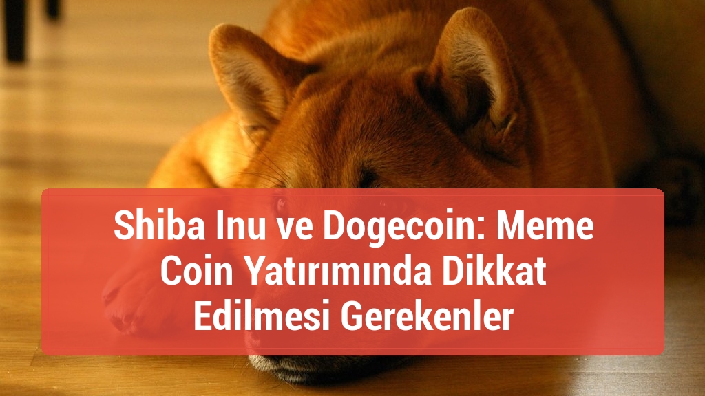 Shiba Inu ve Dogecoin: Meme Coin Yatırımında Dikkat Edilmesi Gerekenler