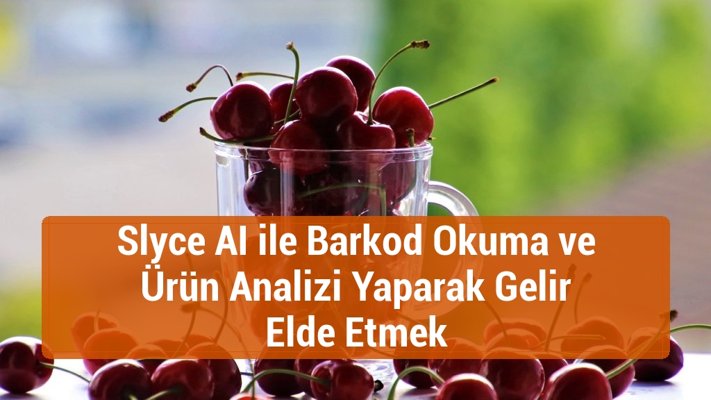 Slyce AI ile Barkod Okuma ve Ürün Analizi Yaparak Gelir Elde Etmek