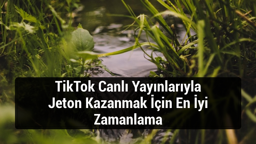 TikTok Canlı Yayınlarıyla Jeton Kazanmak İçin En İyi Zamanlama
