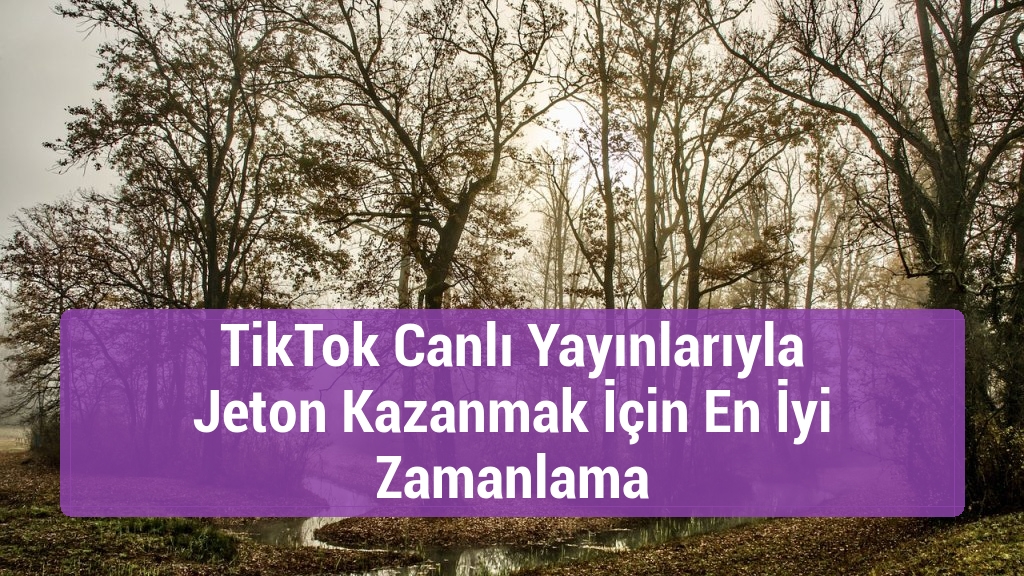 TikTok Canlı Yayınlarıyla Jeton Kazanmak İçin En İyi Zamanlama