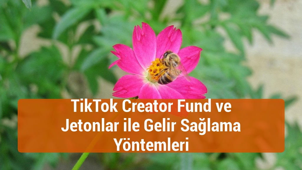TikTok Creator Fund ve Jetonlar ile Gelir Sağlama Y&ouml;ntemleri