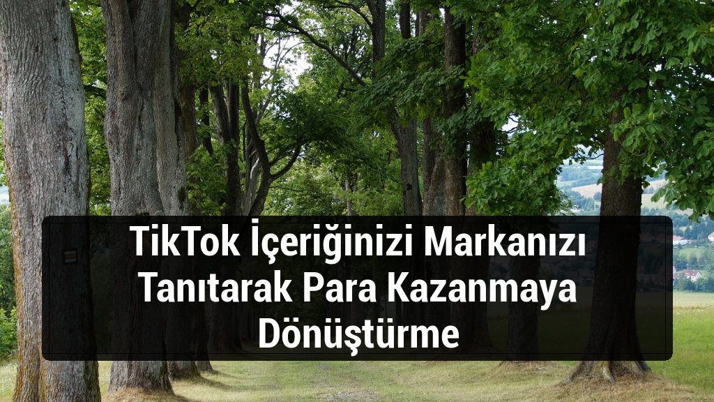 TikTok İçeriğinizi Markanızı Tanıtarak Para Kazanmaya Dönüştürme