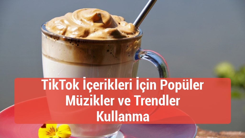 TikTok İçerikleri İçin Popüler Müzikler ve Trendler Kullanma