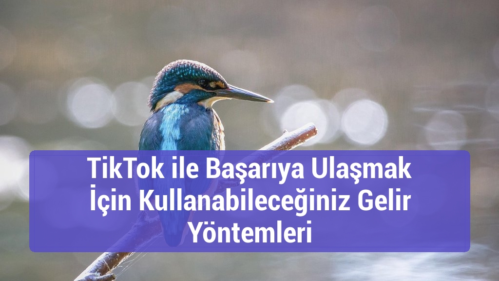 TikTok ile Başarıya Ulaşmak İçin Kullanabileceğiniz Gelir Yöntemleri
