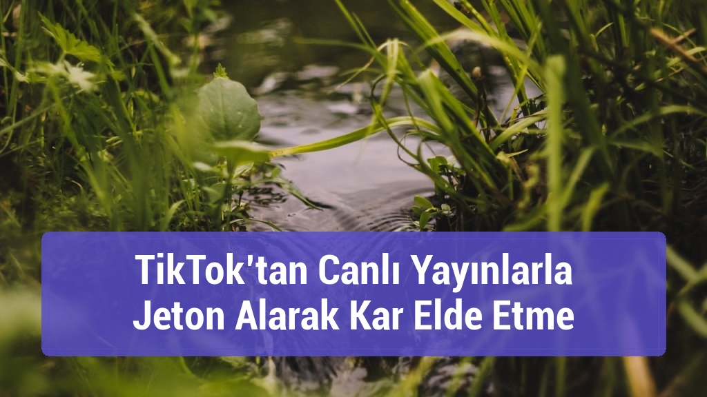TikTok’tan Canlı Yayınlarla Jeton Alarak Kar Elde Etme