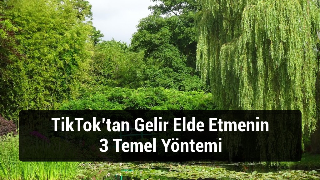 TikTok’tan Gelir Elde Etmenin 3 Temel Yöntemi