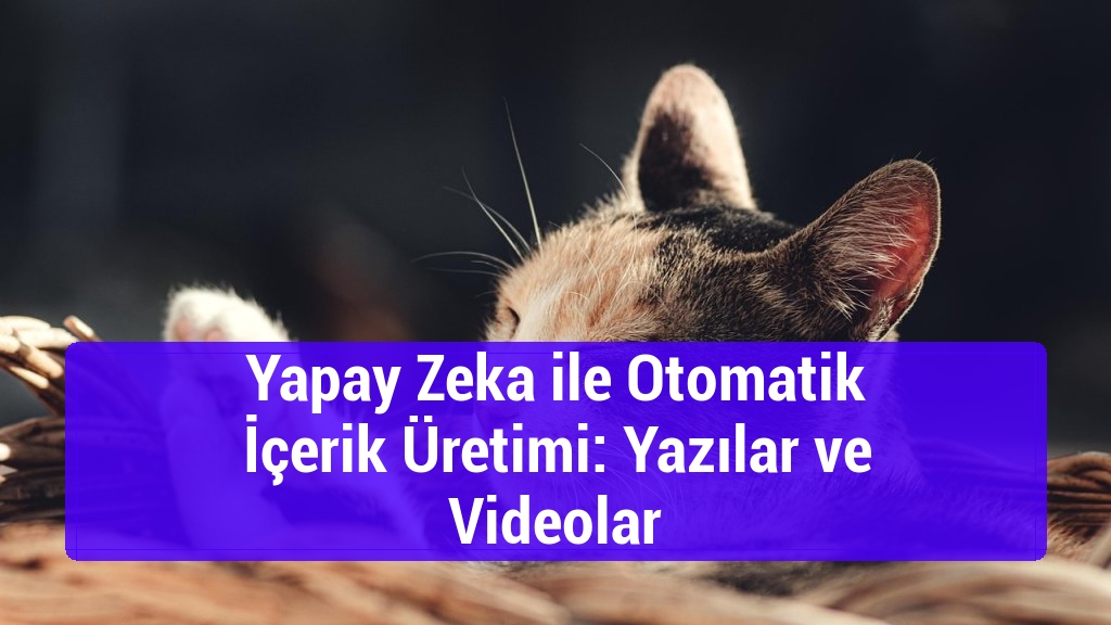 Yapay Zeka ile Otomatik İçerik Üretimi: Yazılar ve Videolar