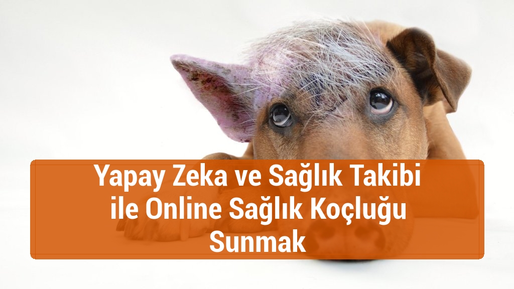 Yapay Zeka ve Sağlık Takibi ile Online Sağlık Koçluğu Sunmak