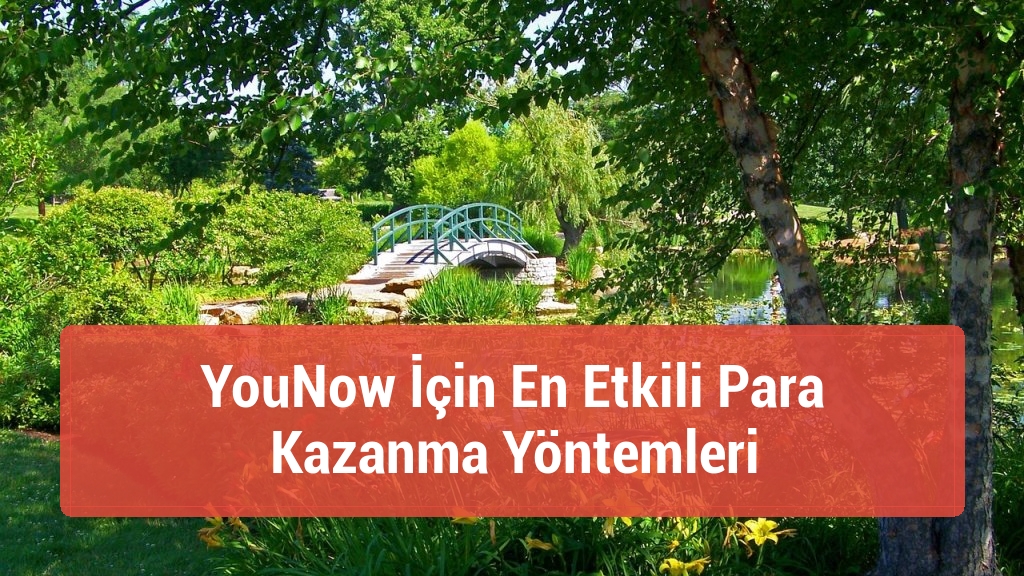 YouNow İçin En Etkili Para Kazanma Yöntemleri