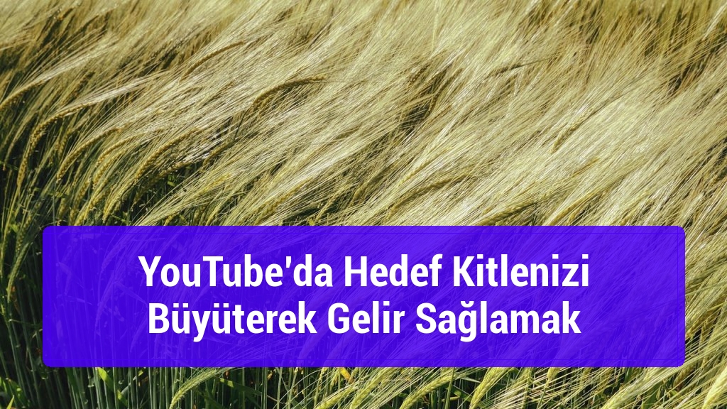YouTube’da Hedef Kitlenizi Büyüterek Gelir Sağlamak
