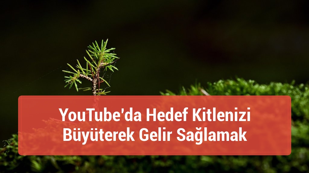 YouTube’da Hedef Kitlenizi Büyüterek Gelir Sağlamak