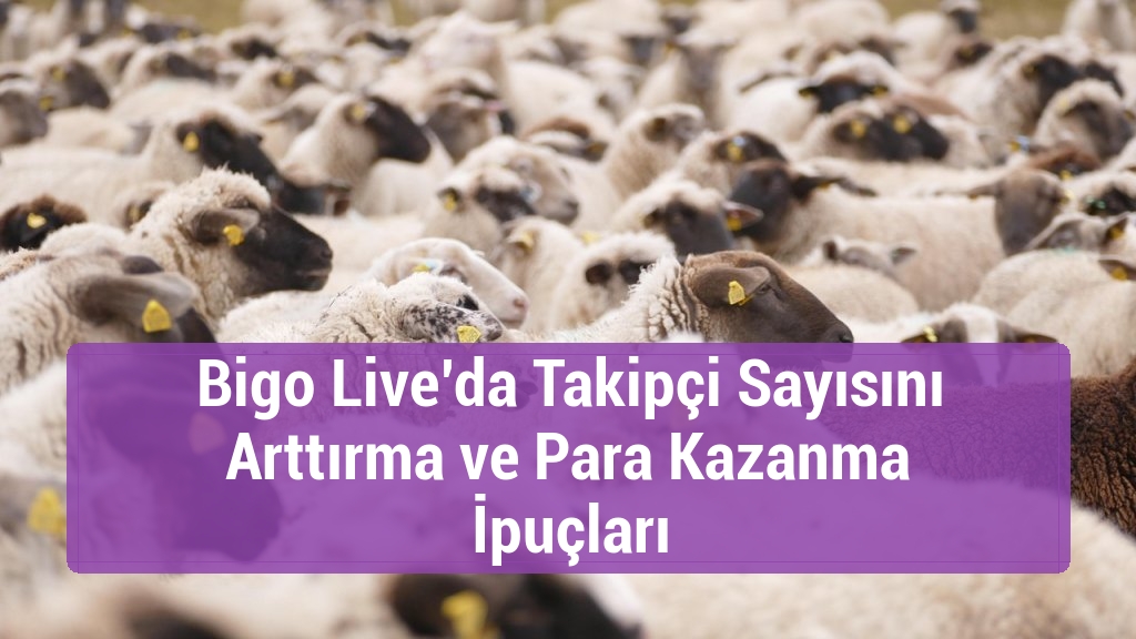 Bigo Live’da Takipçi Sayısını Arttırma ve Para Kazanma İpuçları