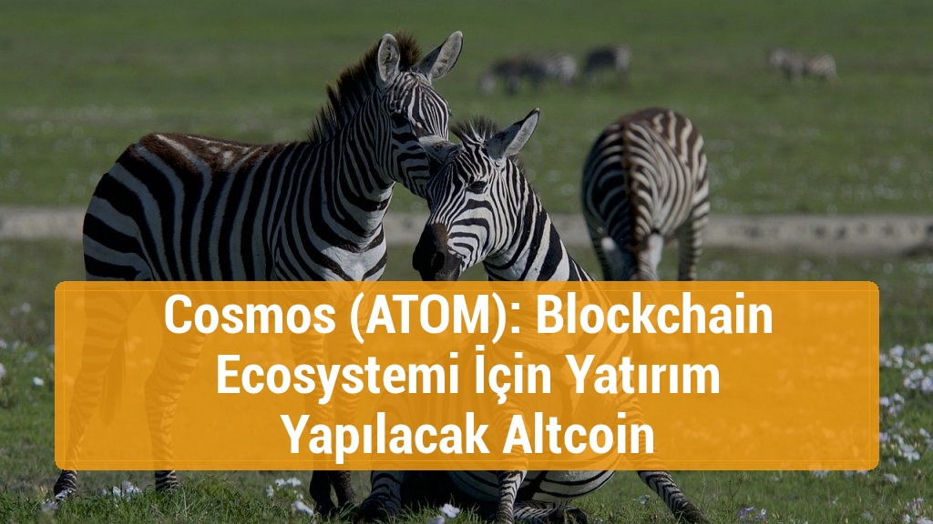 Cosmos (ATOM): Blockchain Ecosystemi İçin Yatırım Yapılacak Altcoin