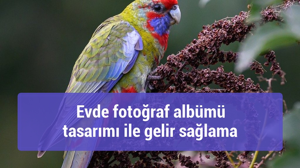 Evde fotoğraf albümü tasarımı ile gelir sağlama