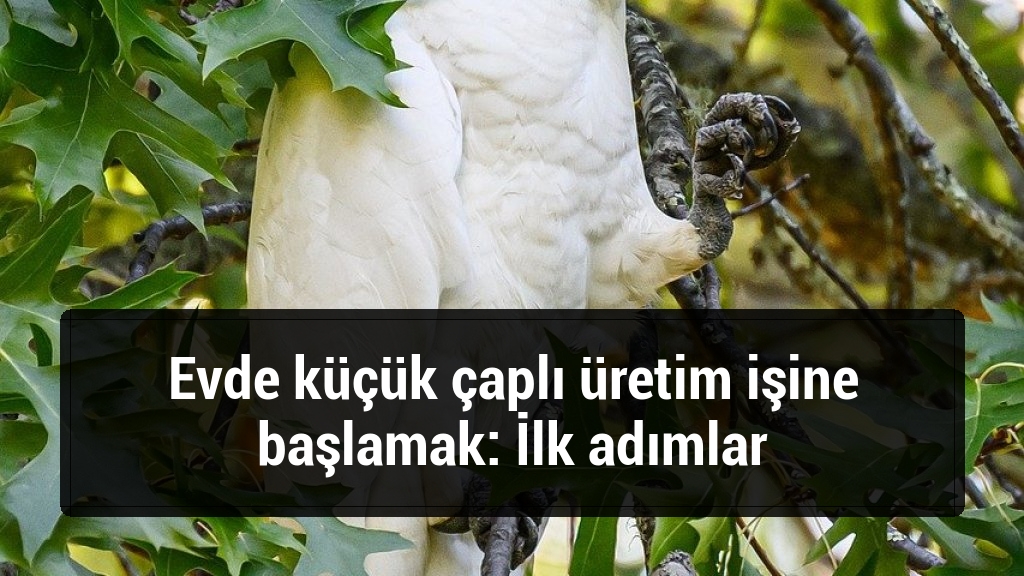 Evde küçük çaplı üretim işine başlamak: İlk adımlar