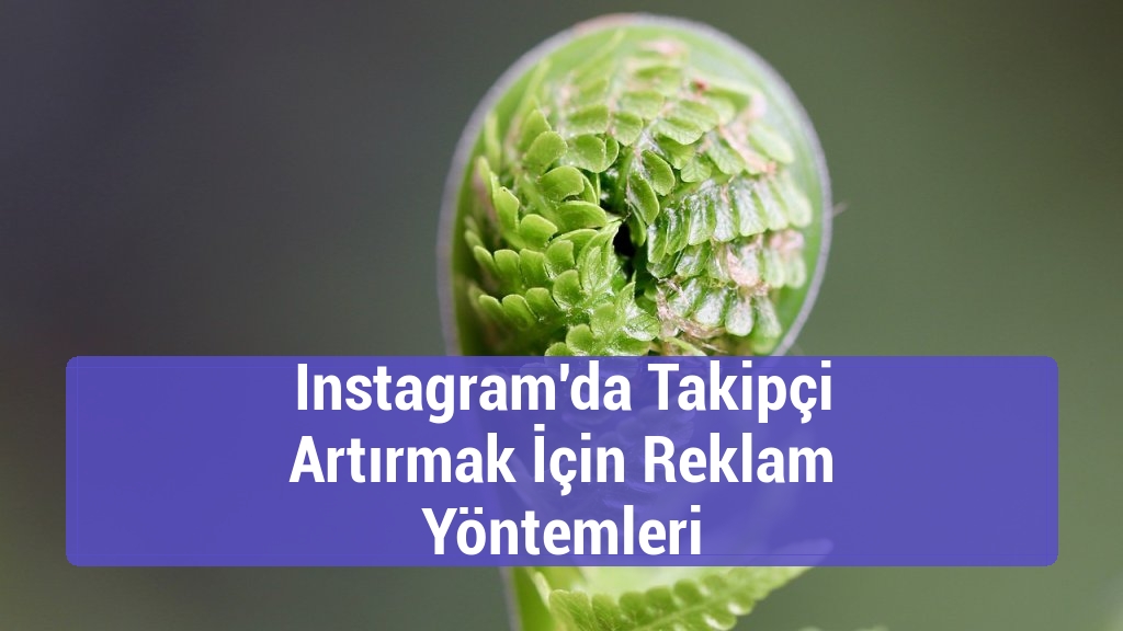 Instagram'da Takipçi Artırmak İçin Reklam Yöntemleri