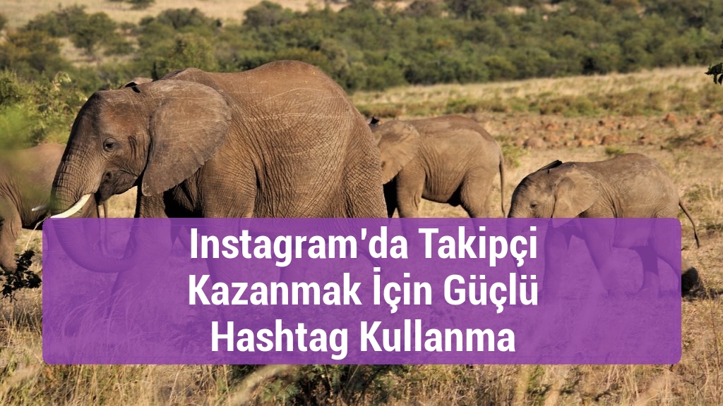 Instagram’da Takipçi Kazanmak İçin Güçlü Hashtag Kullanma