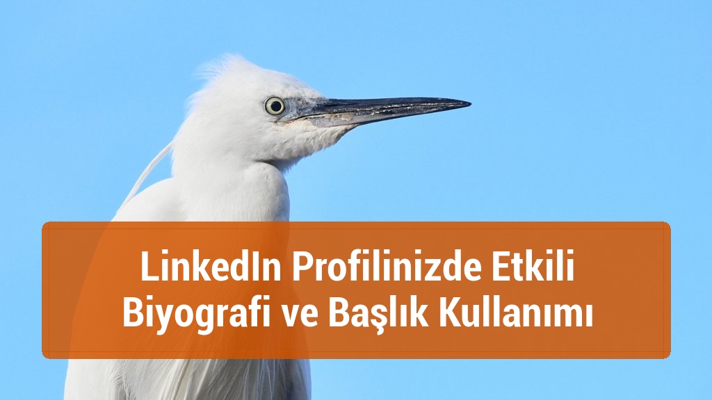 LinkedIn Profilinizde Etkili Biyografi ve Başlık Kullanımı