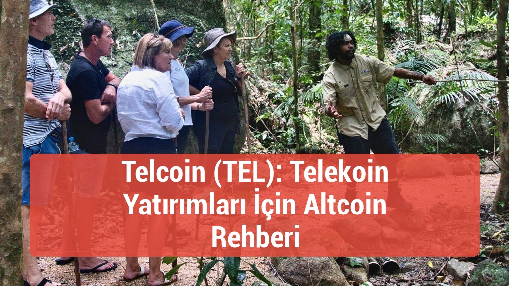 Telcoin (TEL): Telekoin Yatırımları İçin Altcoin Rehberi