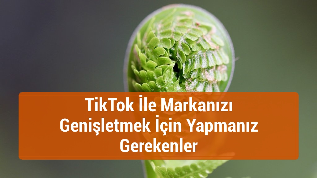TikTok İle Markanızı Genişletmek İçin Yapmanız Gerekenler