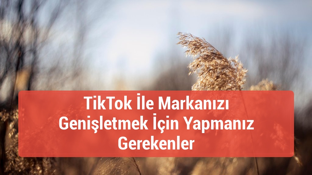 TikTok İle Markanızı Genişletmek İçin Yapmanız Gerekenler