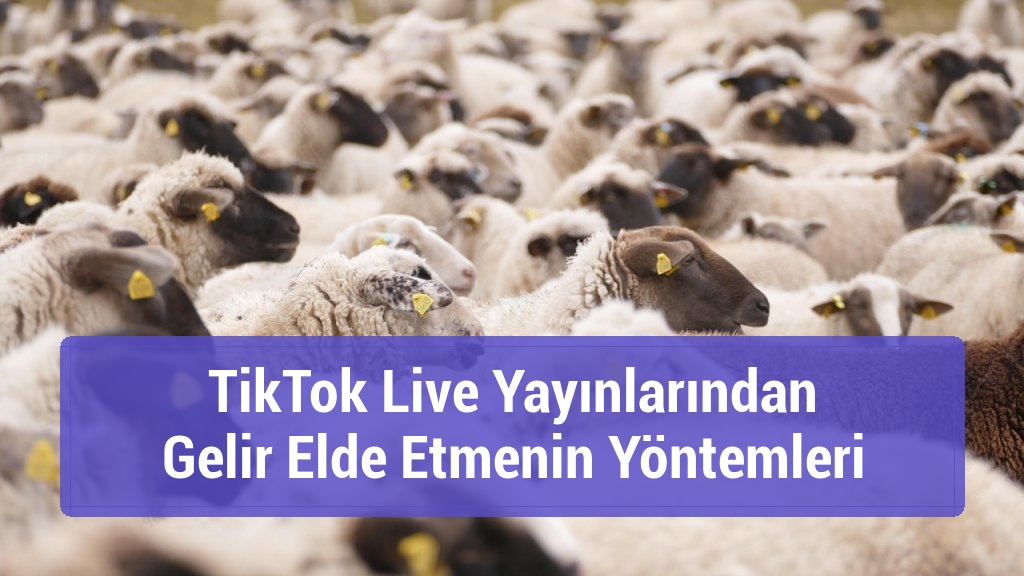 TikTok Live Yayınlarından Gelir Elde Etmenin Yöntemleri