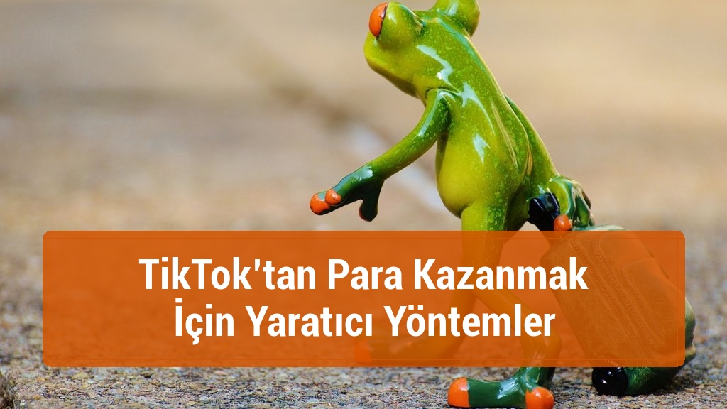 TikTok’tan Para Kazanmak İçin Yaratıcı Yöntemler