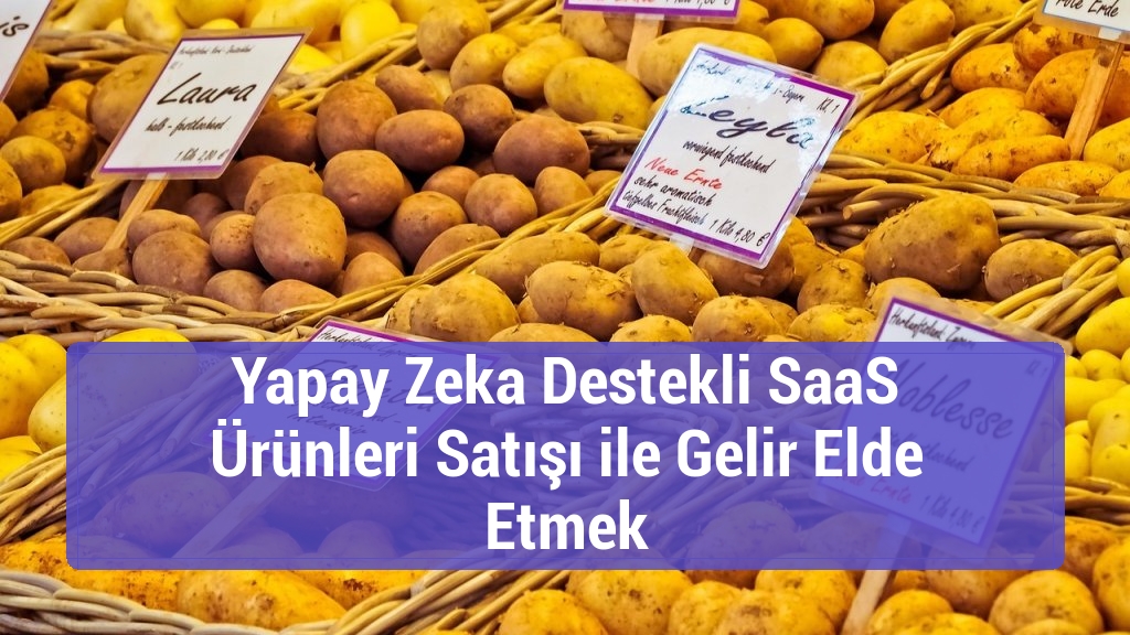 Yapay Zeka Destekli SaaS Ürünleri Satışı ile Gelir Elde Etmek