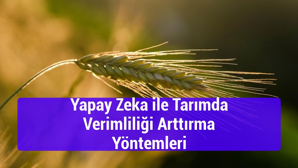 Yapay Zeka ile Tarımda Verimliliği Arttırma Yöntemleri