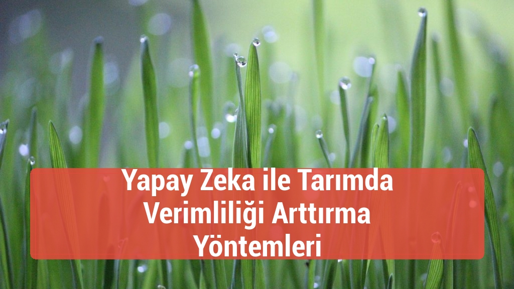Yapay Zeka ile Tarımda Verimliliği Arttırma Yöntemleri