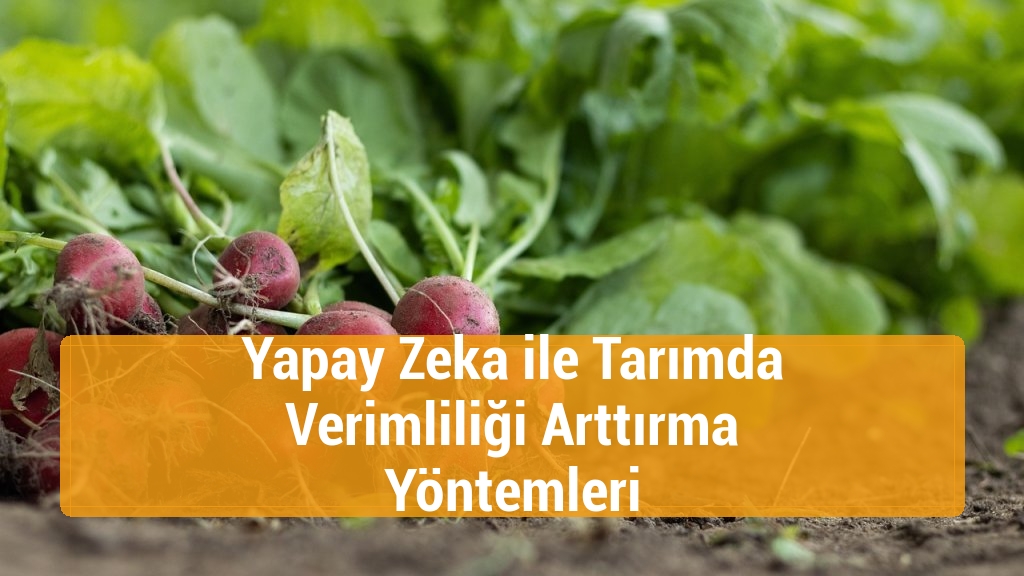 Yapay Zeka ile Tarımda Verimliliği Arttırma Yöntemleri