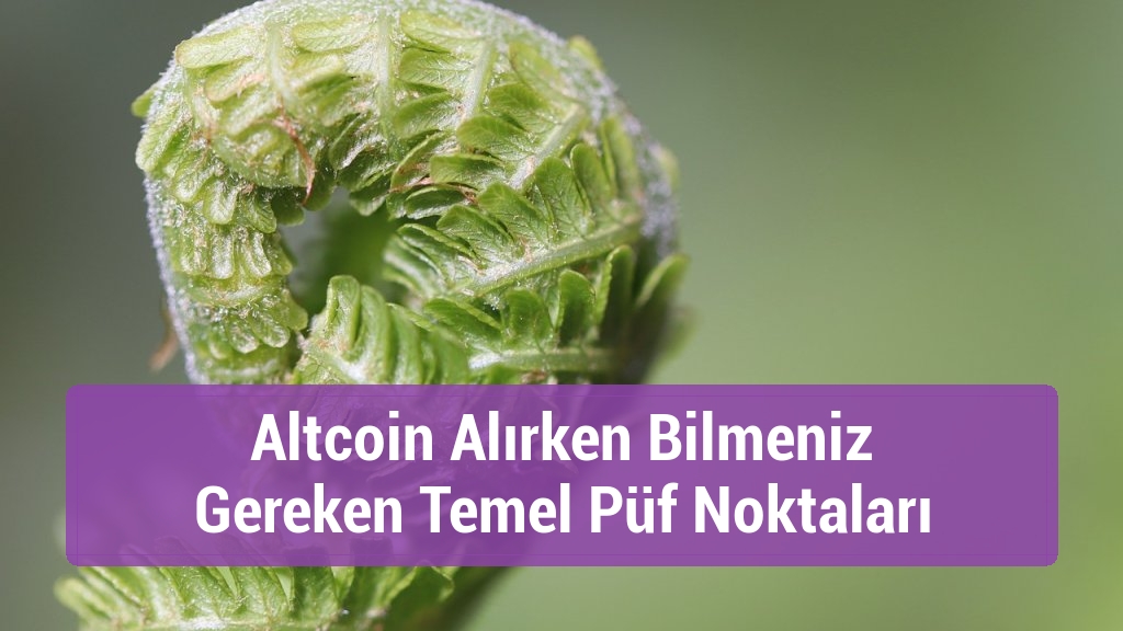 Altcoin Alırken Bilmeniz Gereken Temel Püf Noktaları