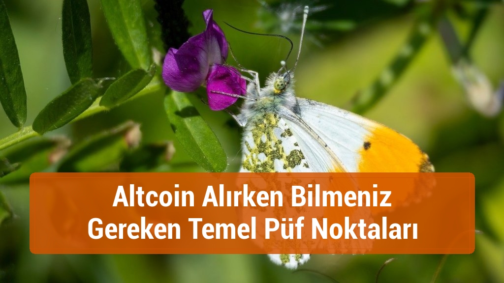 Altcoin Alırken Bilmeniz Gereken Temel Püf Noktaları
