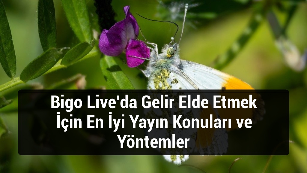 Bigo Live’da Gelir Elde Etmek İçin En İyi Yayın Konuları ve Yöntemler