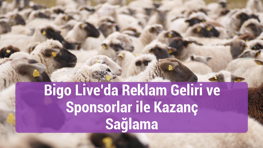 Bigo Live’da Reklam Geliri ve Sponsorlar ile Kazanç Sağlama