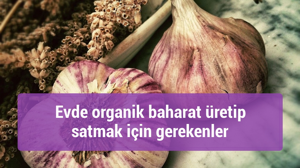 Evde organik baharat üretip satmak için gerekenler