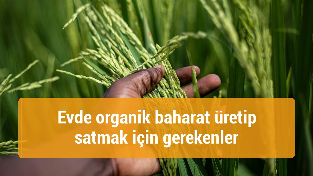 Evde organik baharat üretip satmak için gerekenler