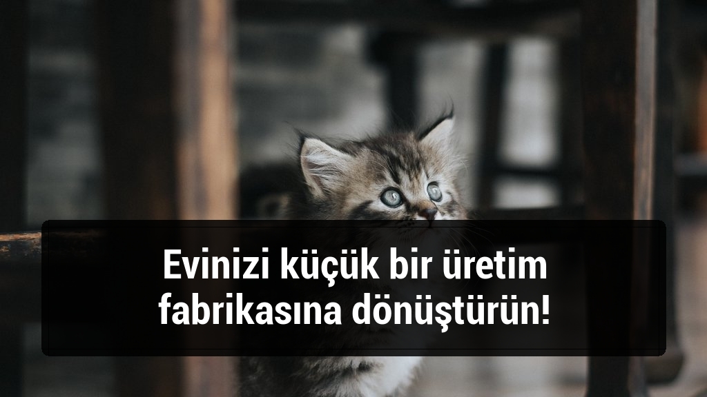 Evinizi küçük bir üretim fabrikasına dönüştürün!