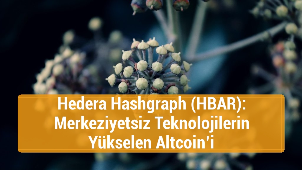 Hedera Hashgraph (HBAR): Merkeziyetsiz Teknolojilerin Yükselen Altcoin’i