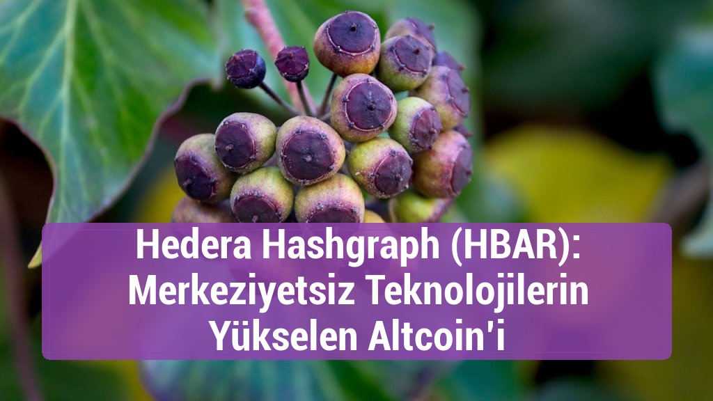 Hedera Hashgraph (HBAR): Merkeziyetsiz Teknolojilerin Yükselen Altcoin’i
