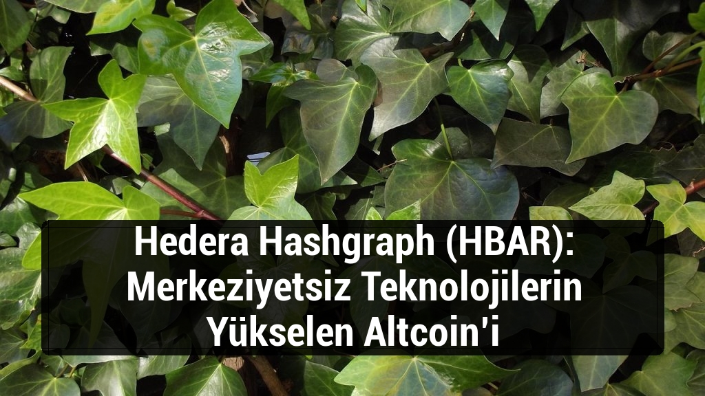 Hedera Hashgraph (HBAR): Merkeziyetsiz Teknolojilerin Yükselen Altcoin’i