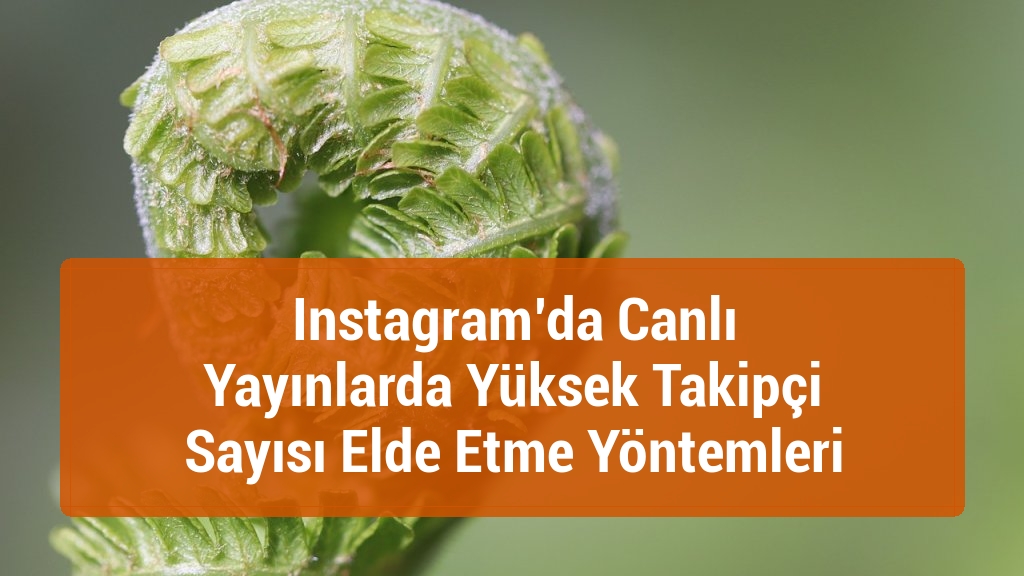 Instagram’da Canlı Yayınlarda Yüksek Takipçi Sayısı Elde Etme Yöntemleri
