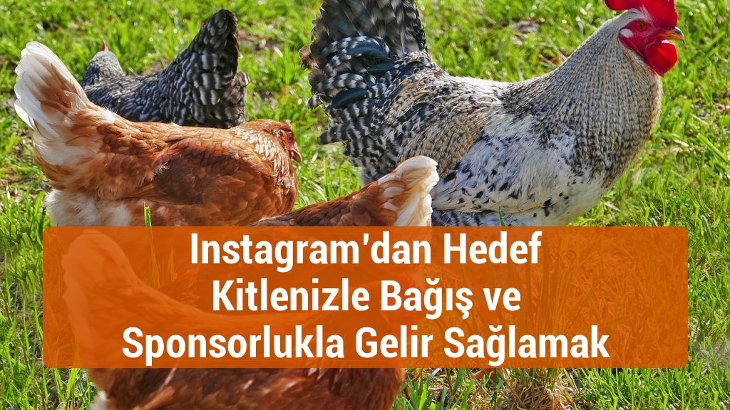 Instagram’dan Hedef Kitlenizle Bağış ve Sponsorlukla Gelir Sağlamak
