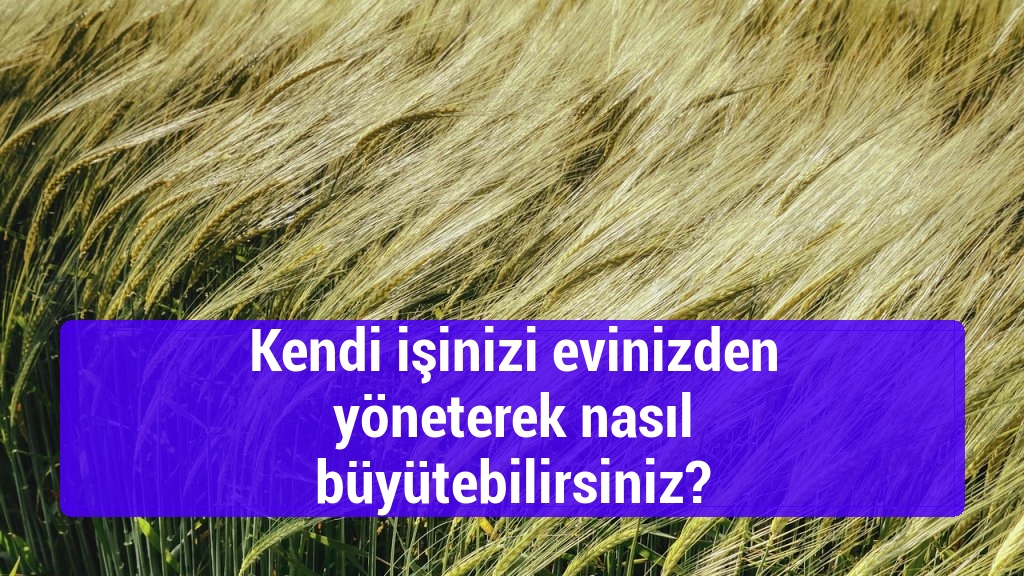 Kendi işinizi evinizden yöneterek nasıl büyütebilirsiniz?