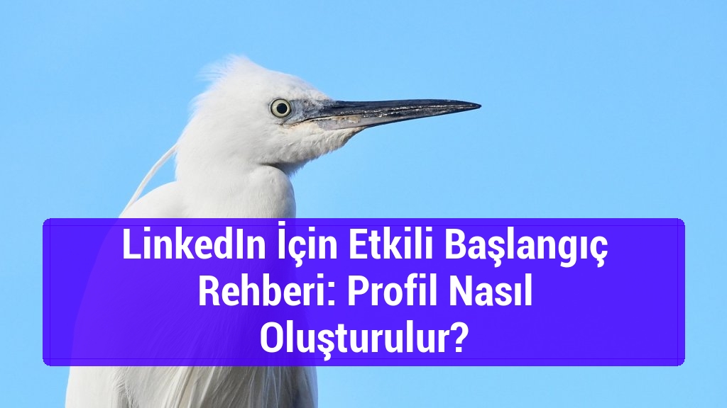 LinkedIn İçin Etkili Başlangıç Rehberi: Profil Nasıl Oluşturulur?