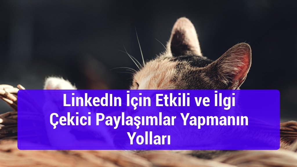 LinkedIn İçin Etkili ve İlgi Çekici Paylaşımlar Yapmanın Yolları
